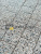 Тротуарная плитка Колдиз Новый город 60 Тротуарная плитка Колдиз Новый город 60