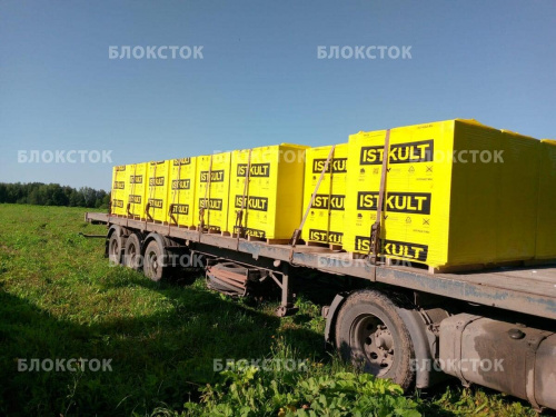 Пеноблоки Istkult D400 625х250х400 стеновые